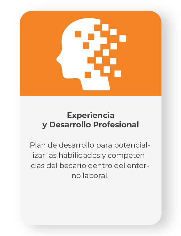 Experiencia