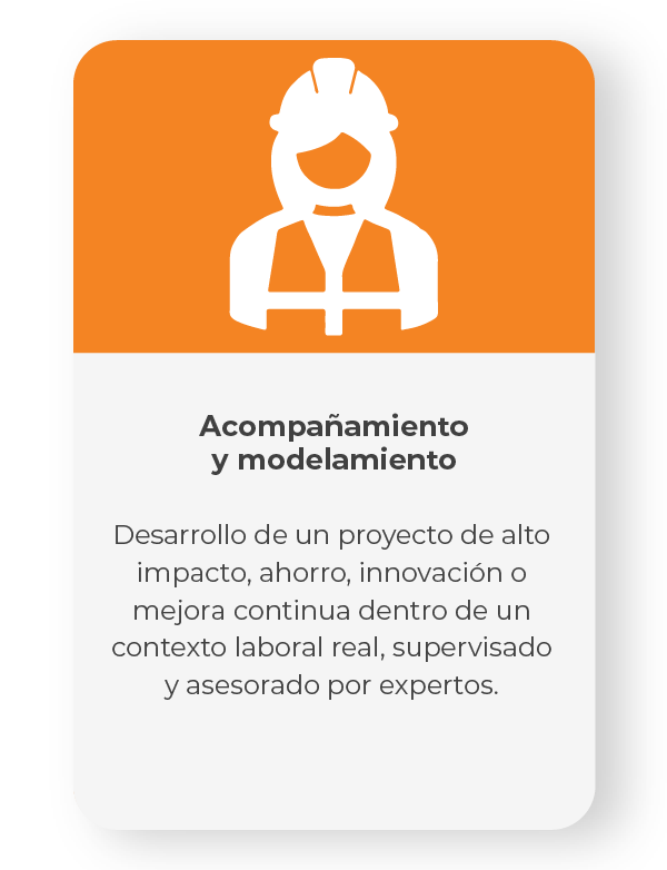 acompanamiento